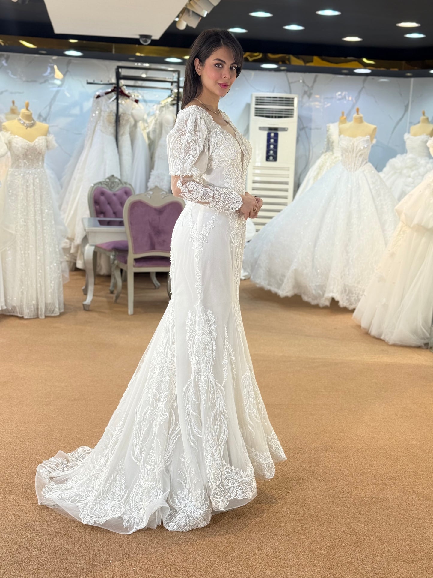 Elegant Lace V-Neck Bridal Gown